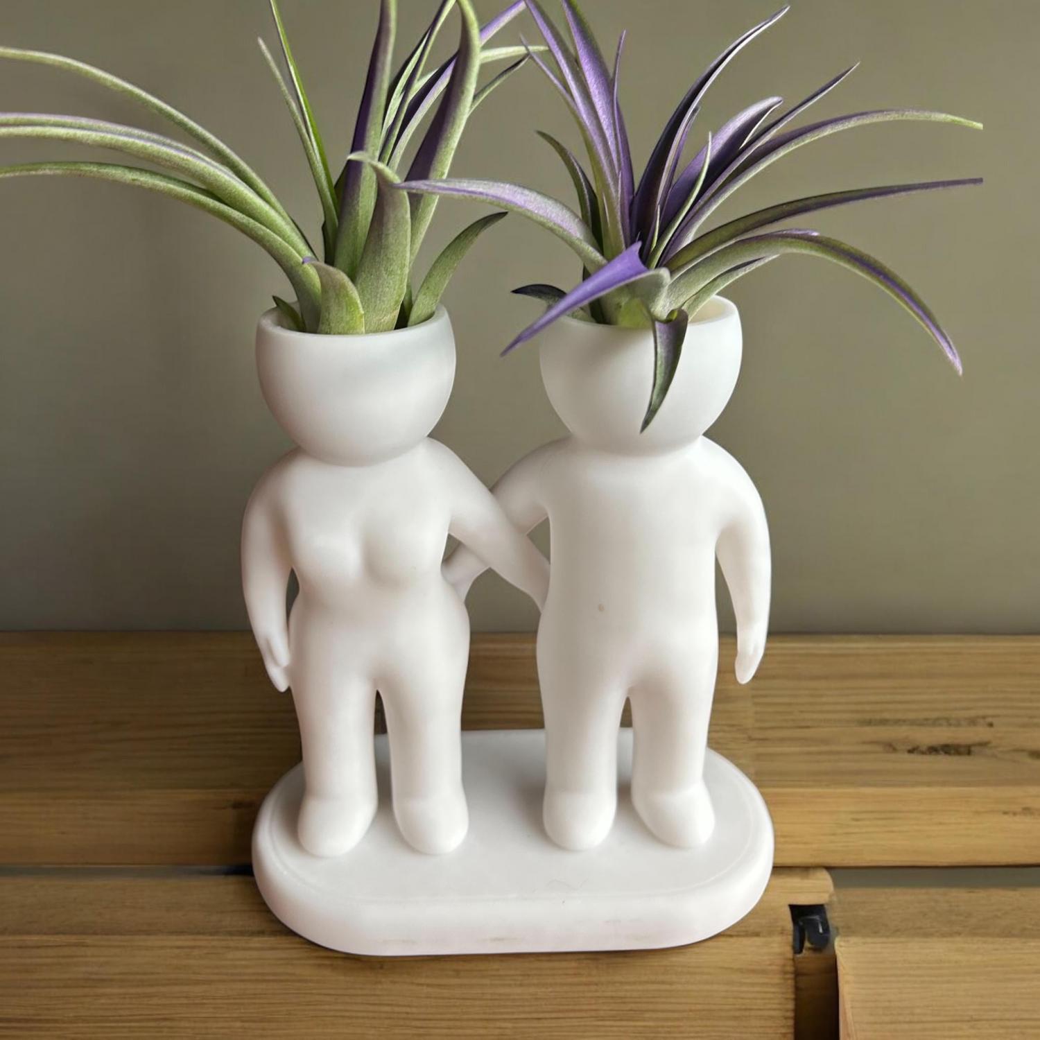 Funny Couple Air Plant Holder - Cheeky Anniversary Gift