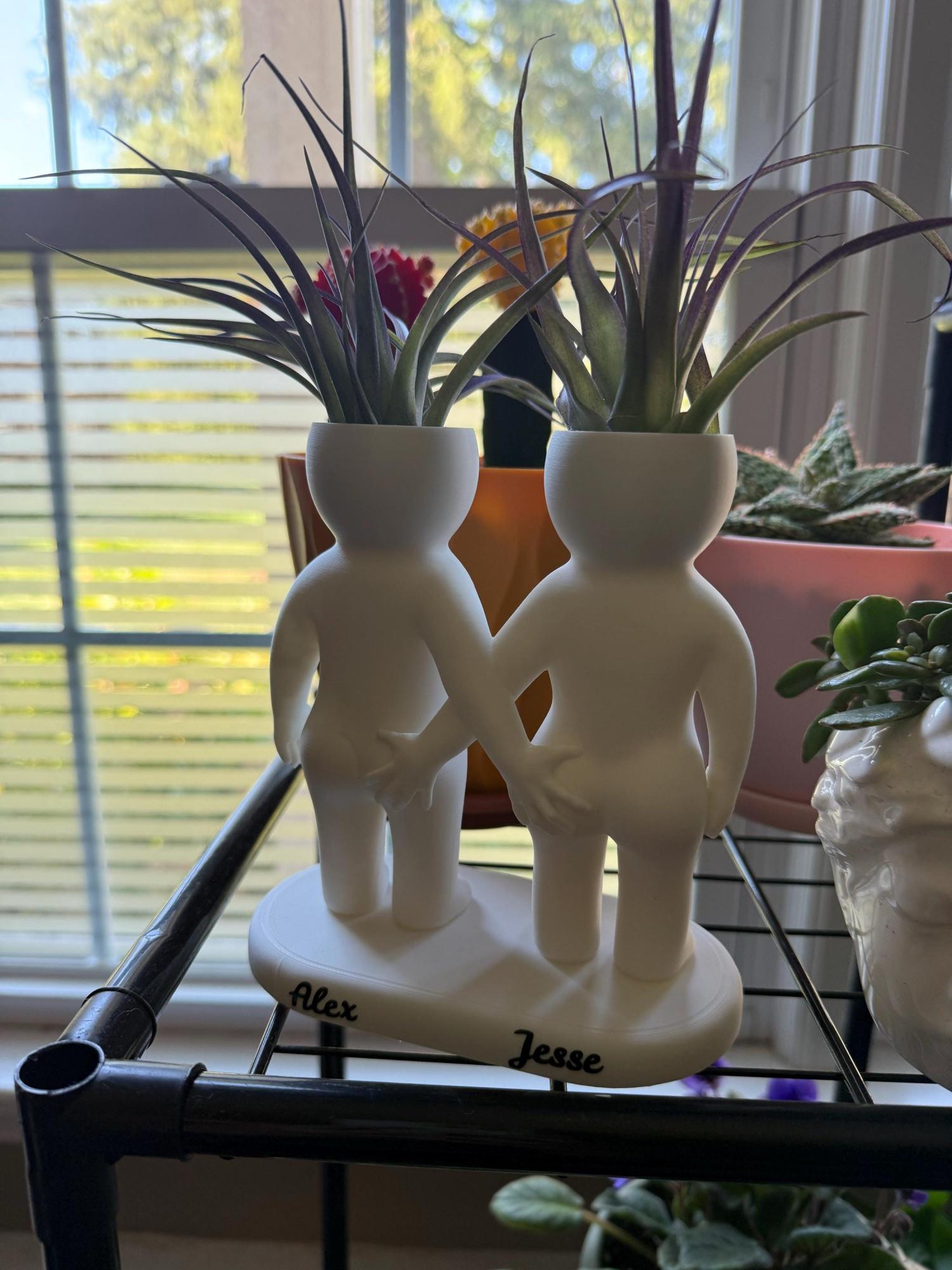 Funny Couple Air Plant Holder - Cheeky Anniversary Gift