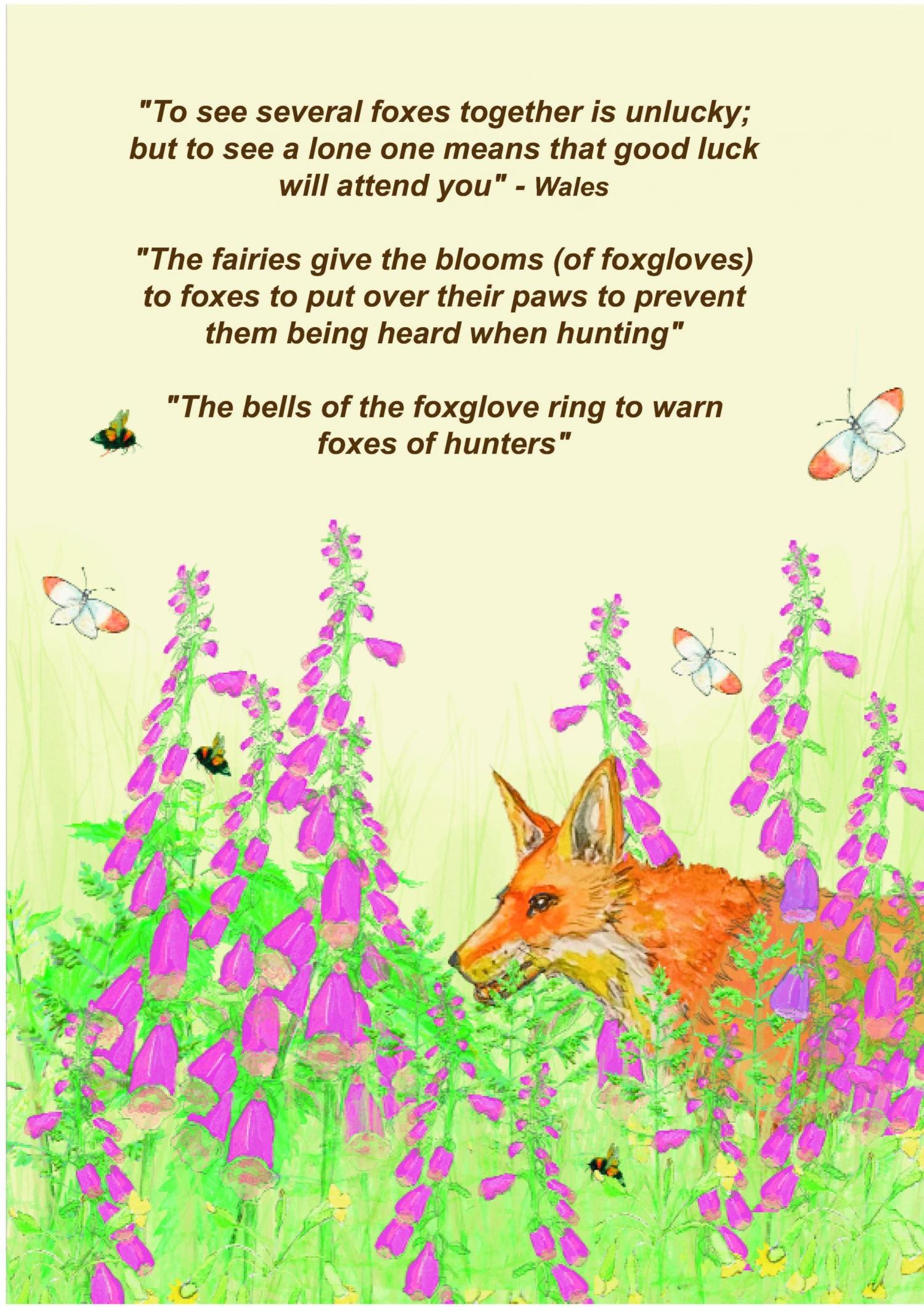 Country Wisdom and Folklore Diary/Datebook 2026