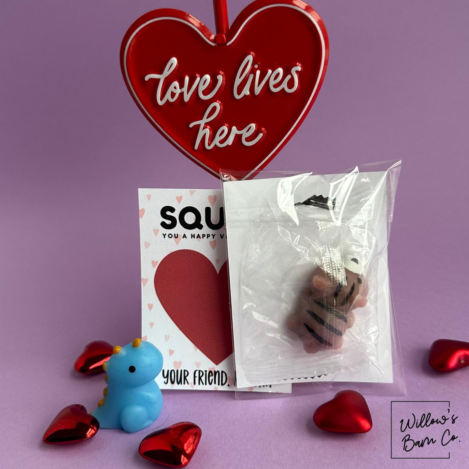Squish Valentine Cards for Kids | Non Candy Classroom Valentines with Squishy Toy | Cute School Valentines | 4 Year Best Seller