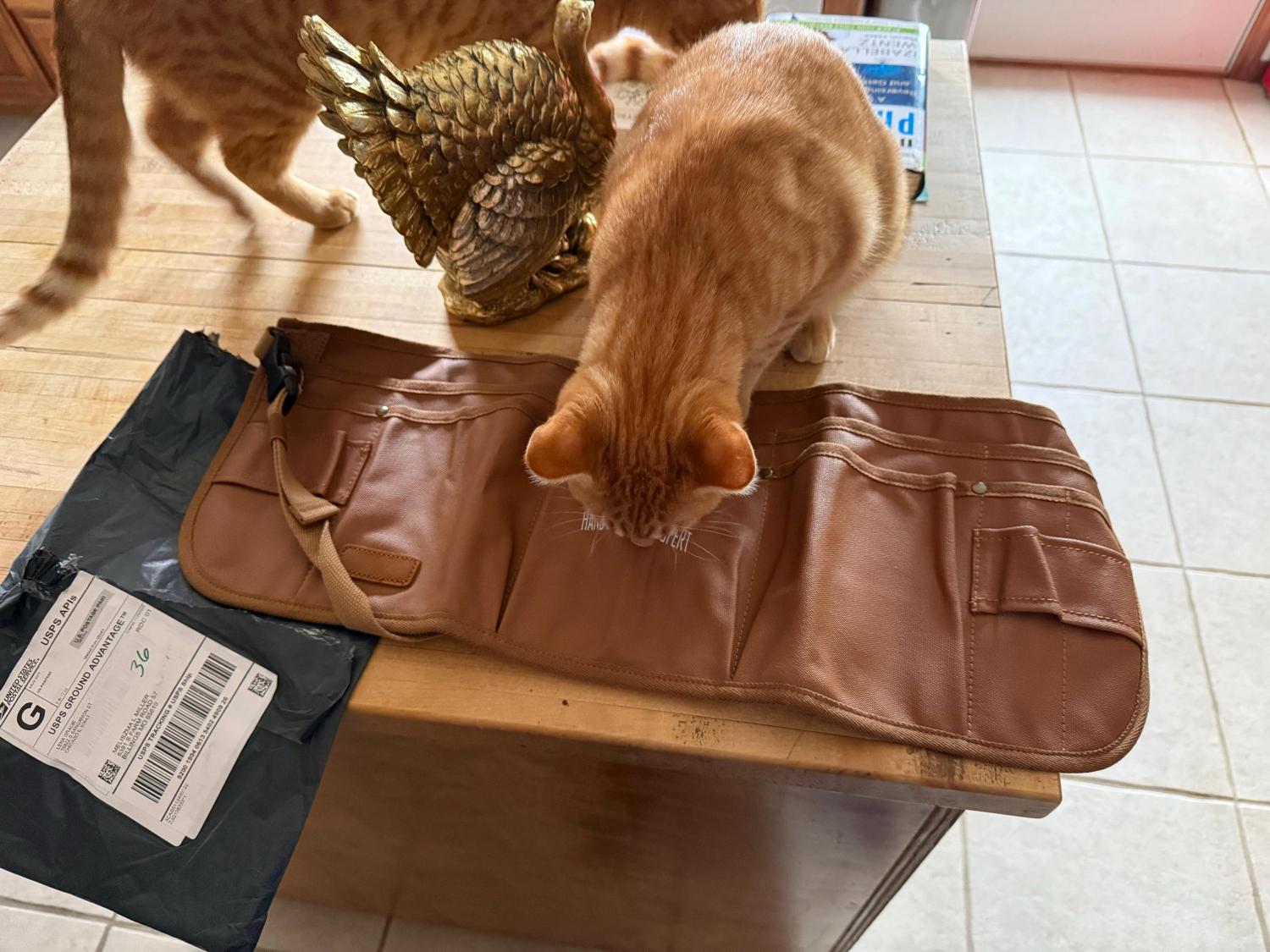 Personalization Heavy-Duty Tool Belt, Adjustable Pouch Apron for Mechanics, Electricians, Gardeners, and Makers Half Waist Apron Gift