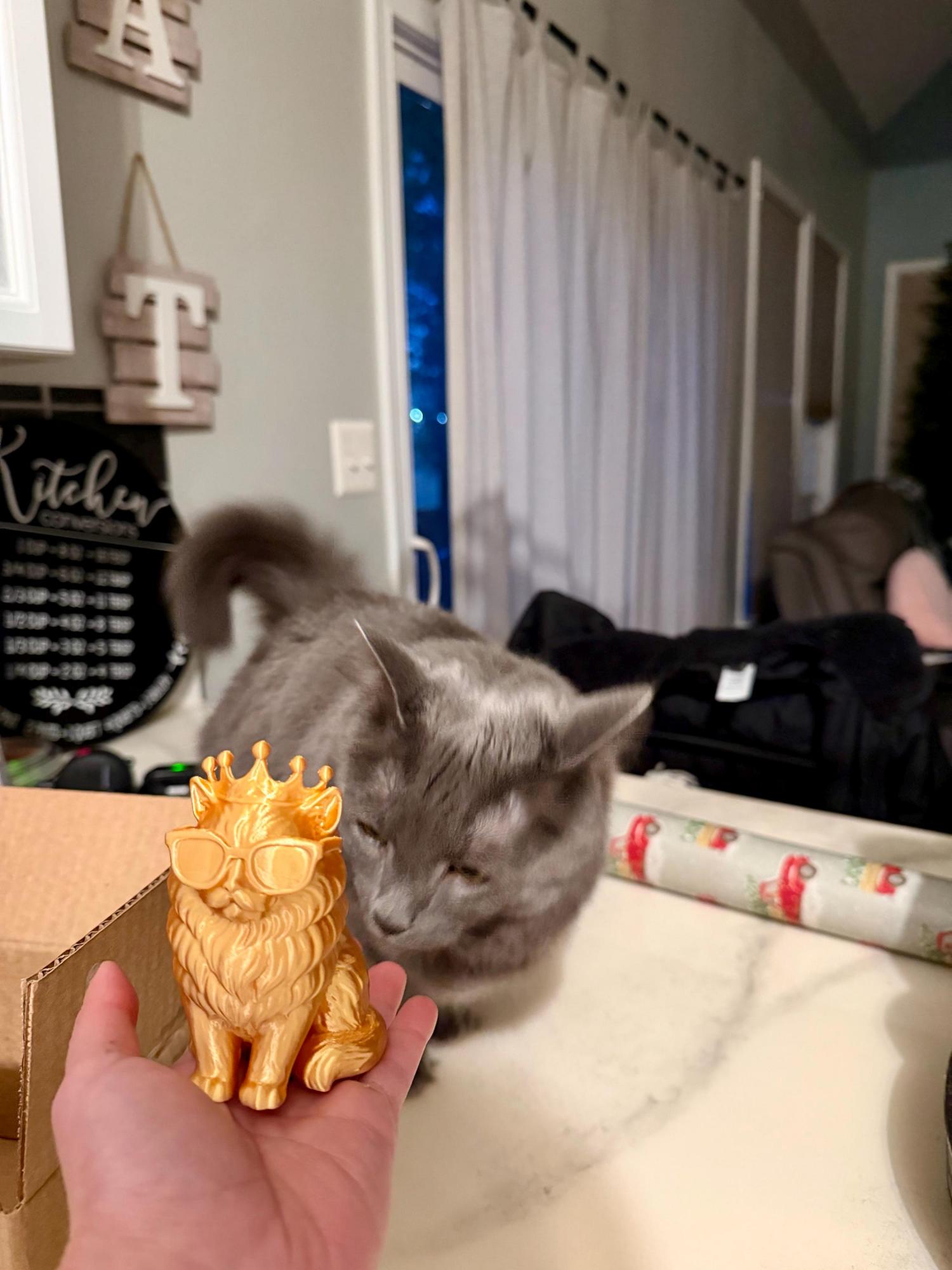 Princess Donut Library Decor Bookshelf, DCC figurine, Book Lover Gift, 3d Printed, LitRPG Collectible