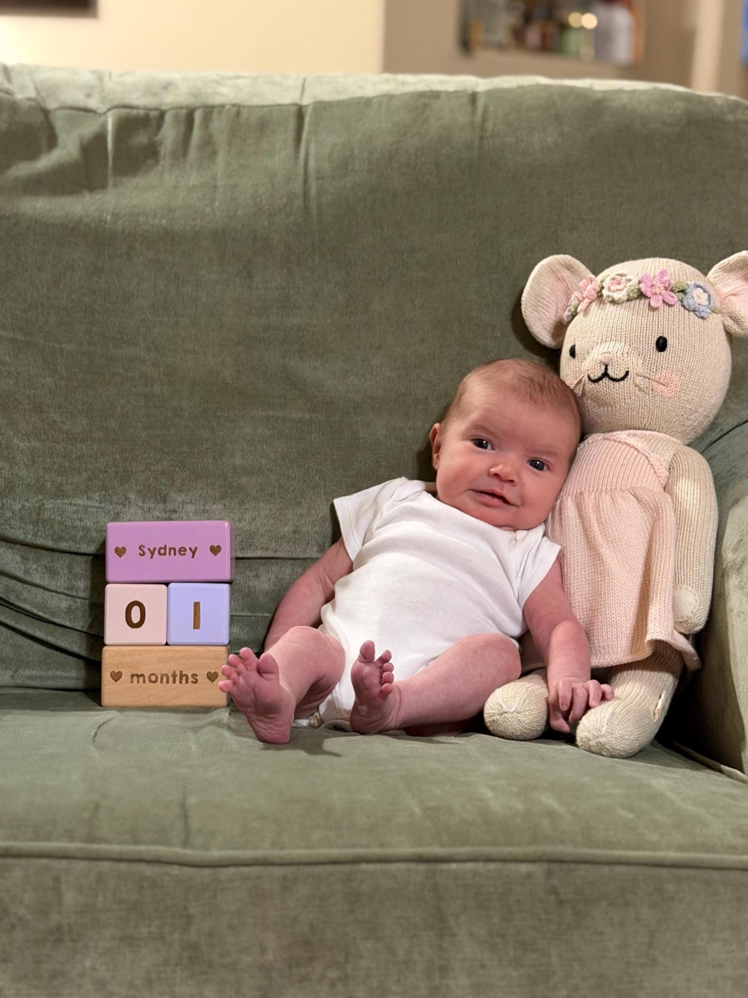 Wooden Baby Milestone Blocks: Custom Name & Age Photo Props