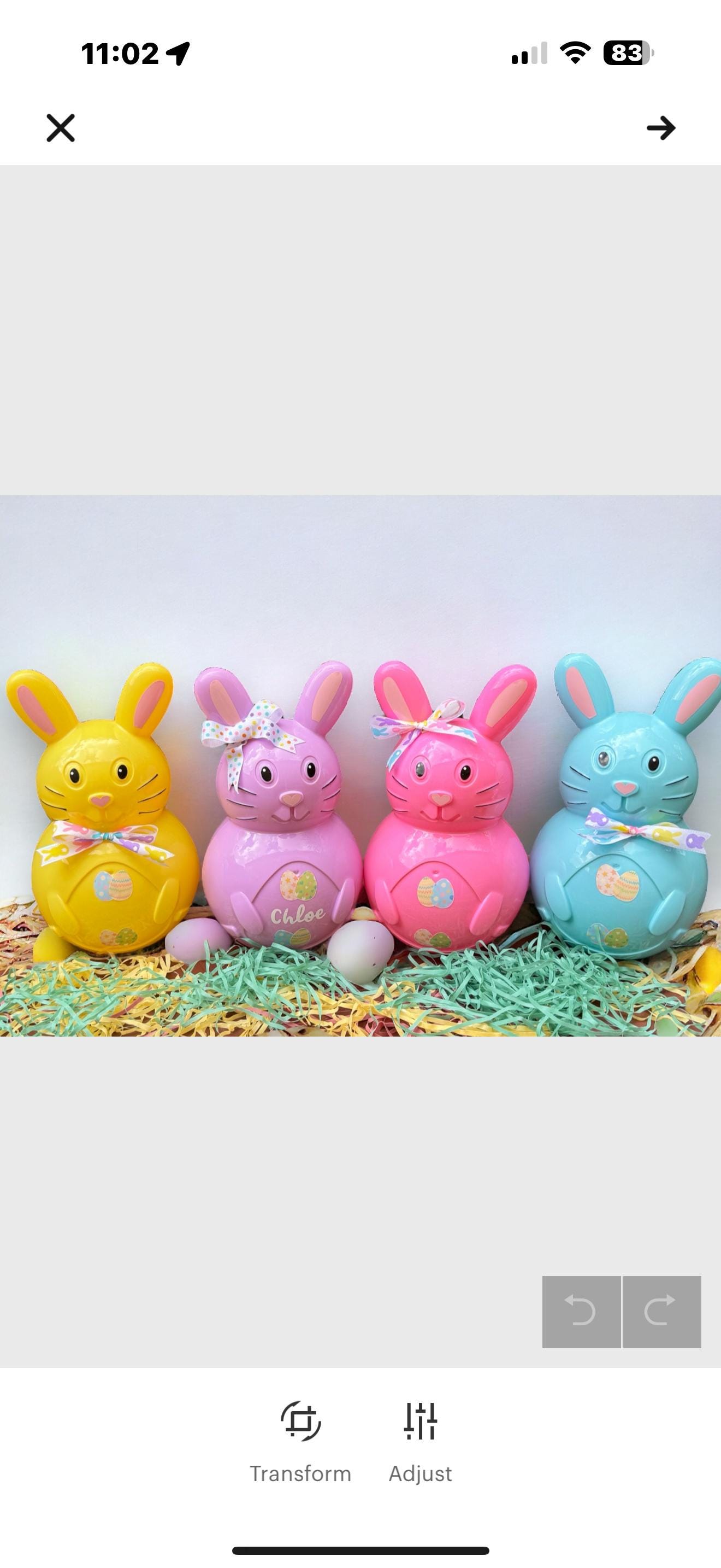 Personalized Jumbo Easter Egg Bunny: Fillable Easter Basket Stuffer