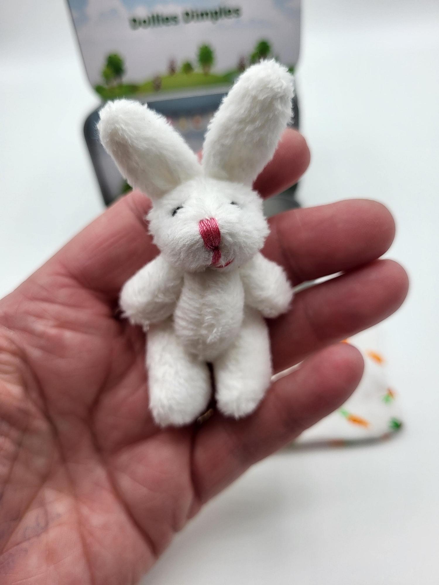 Easter Bunny fluffy Plush in Pocket Tin: Miniature role play