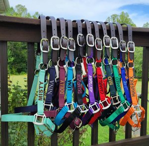 Personalized Breakaway Horse Halter with Name, Adjustable Horse Halter for Cob Halter/Horse, Horse Awards, Gift for Horse Lovers/Riders