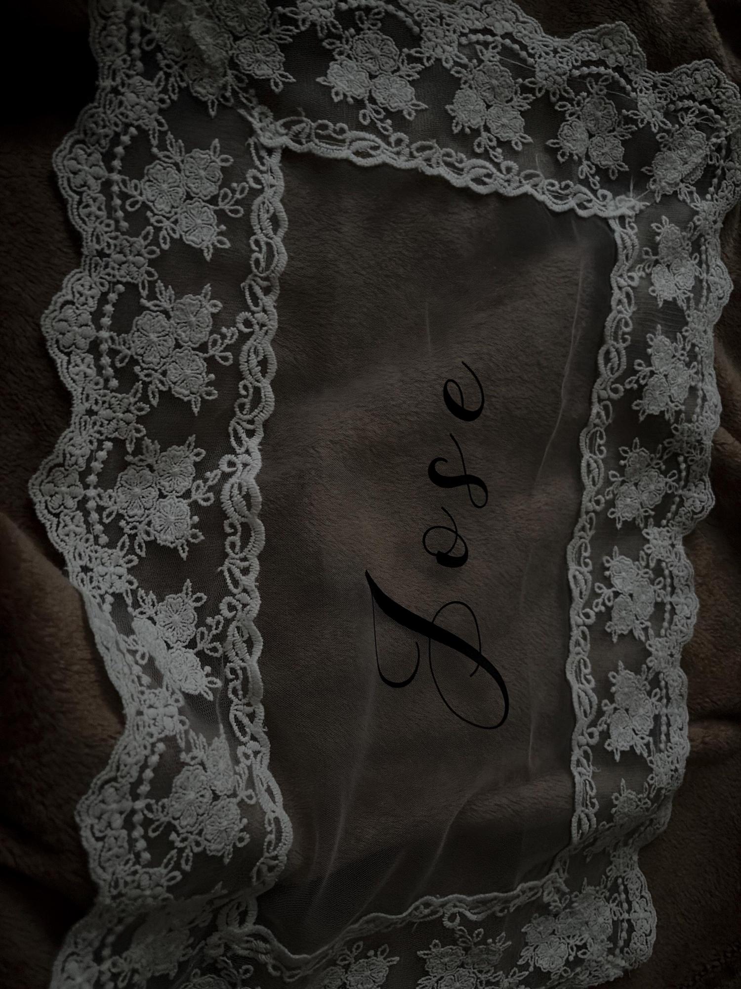 Personalized Lace Just Married Chair Sign for Bride & Groom, Wedding Chair Decor, Sheer Lace Signs, Custom Wedding Chair Banners