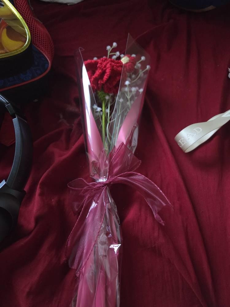 Valentine's Day Crochet Bouquet, Carnation Bouquet, Handmade Crochet flowers, Party Favors, Mother's Day, Birthday Gift, Graduation Bouquet