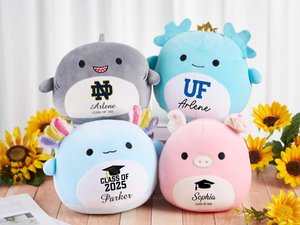 Custom Squishmallow Class of 2026 Graduation Gift,Graduation Squishmallow,Graduation University Plush,Gift for Graduates,Graduation Keepsake