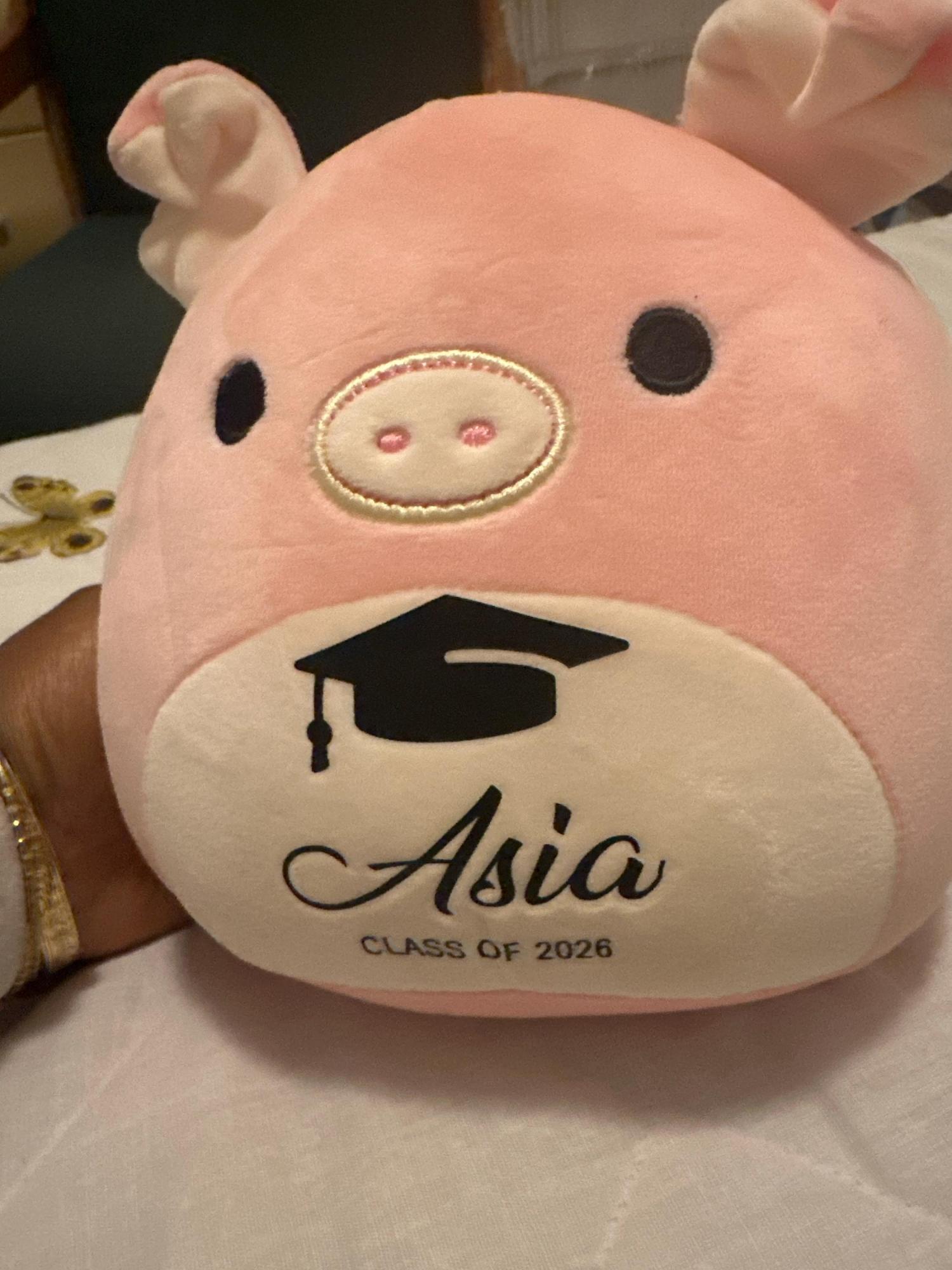 Custom Squishmallow Class of 2026 Graduation Gift,Graduation Squishmallow,Graduation University Plush,Gift for Graduates,Graduation Keepsake
