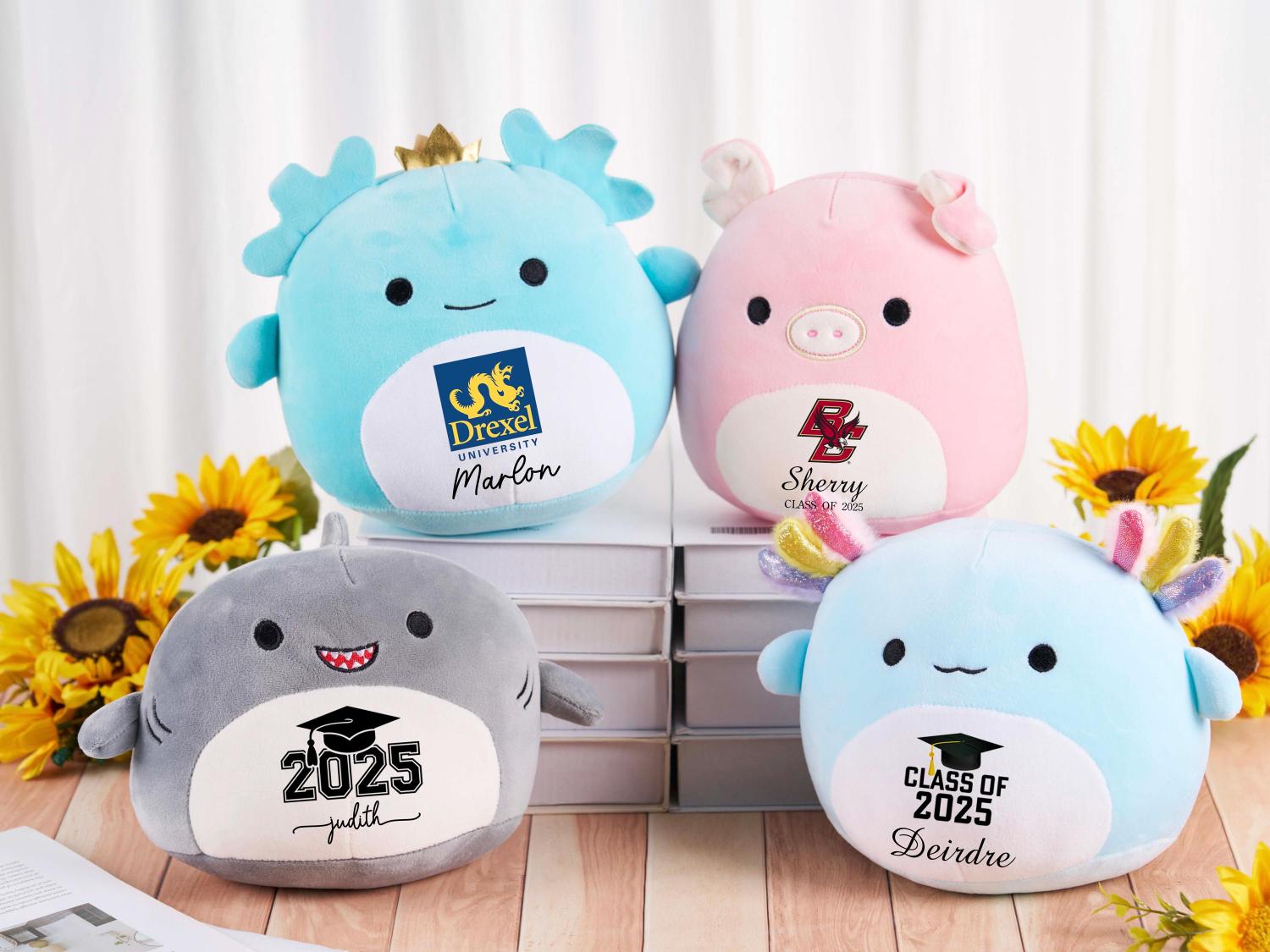 Custom Squishmallow Class of 2026 Graduation Gift,Graduation Squishmallow,Graduation University Plush,Gift for Graduates,Graduation Keepsake