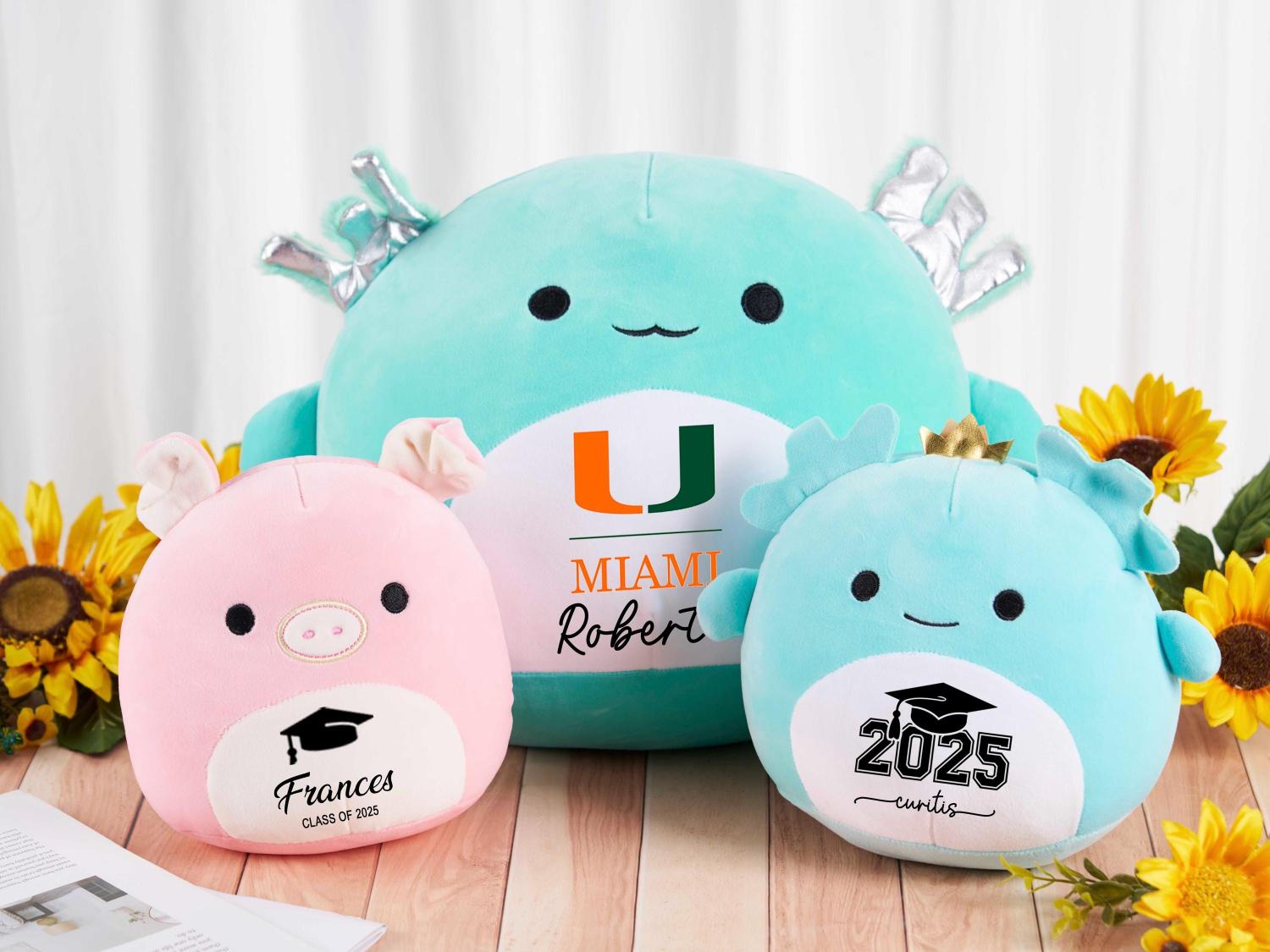 Custom Squishmallow Class of 2026 Graduation Gift,Graduation Squishmallow,Graduation University Plush,Gift for Graduates,Graduation Keepsake
