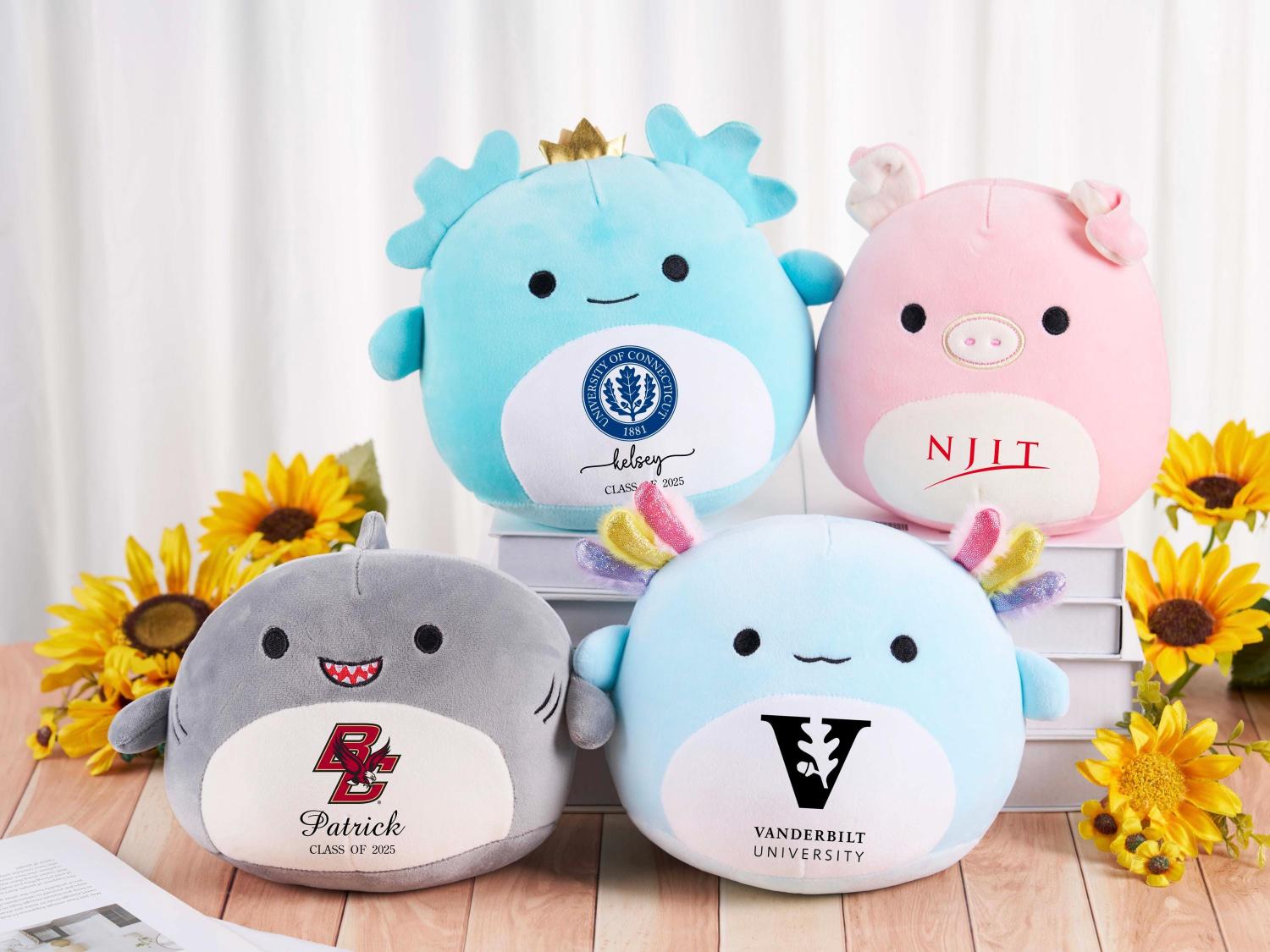 Custom Squishmallow Class of 2026 Graduation Gift,Graduation Squishmallow,Graduation University Plush,Gift for Graduates,Graduation Keepsake