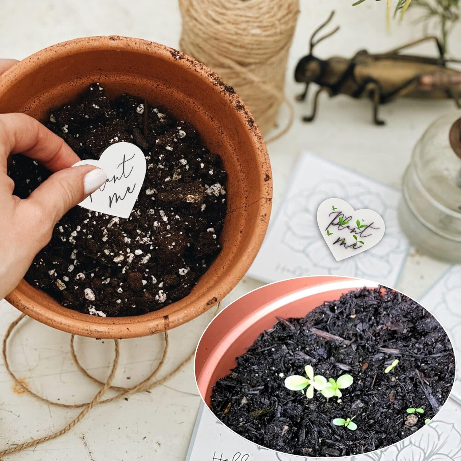 Plantable Heart shapes Thank you graduation favour Seed paper 2 inches Heart gift labels, wedding favor, graduation favors, graduation