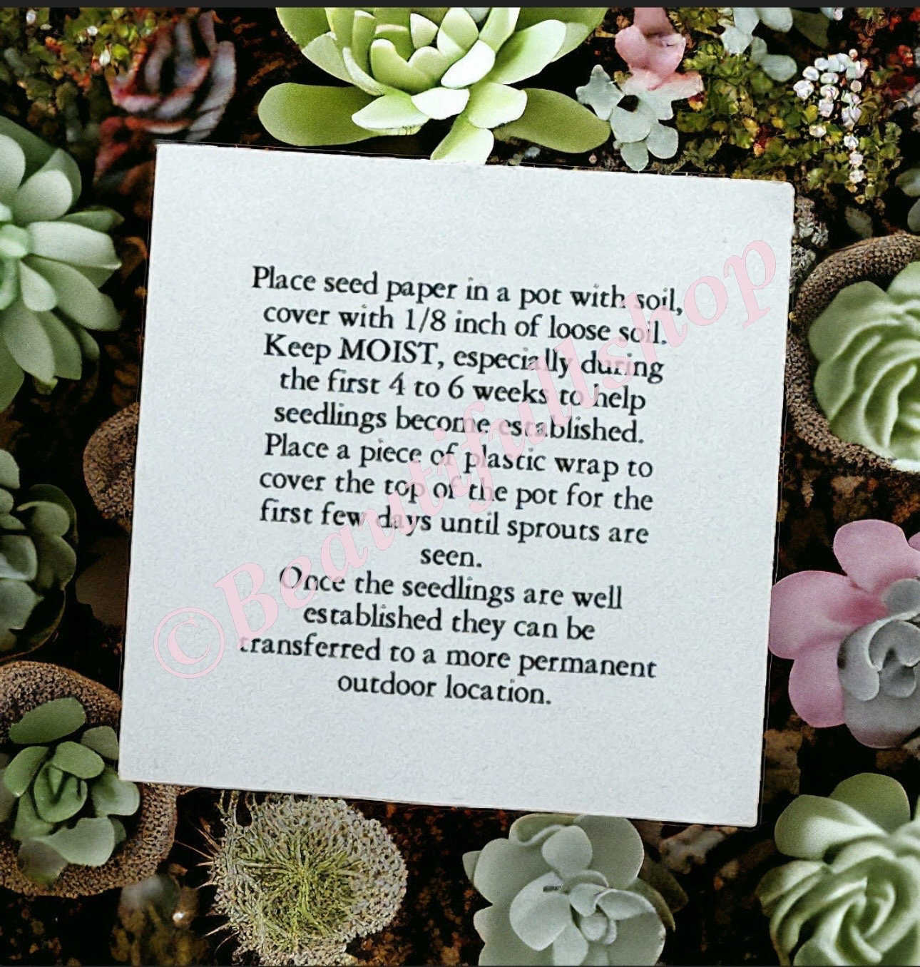 Plantable Heart shapes Thank you graduation favour Seed paper 2 inches Heart gift labels, wedding favor, graduation favors, graduation